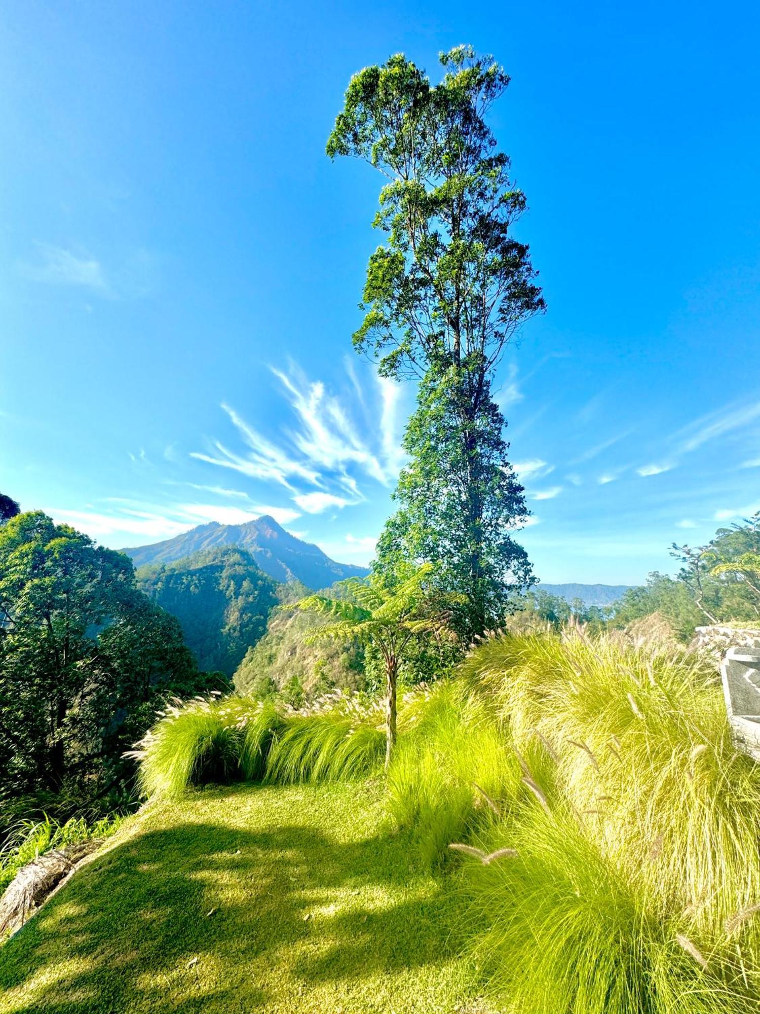 Alengkong Bali Camp Hotel Bangli Buitenkant foto